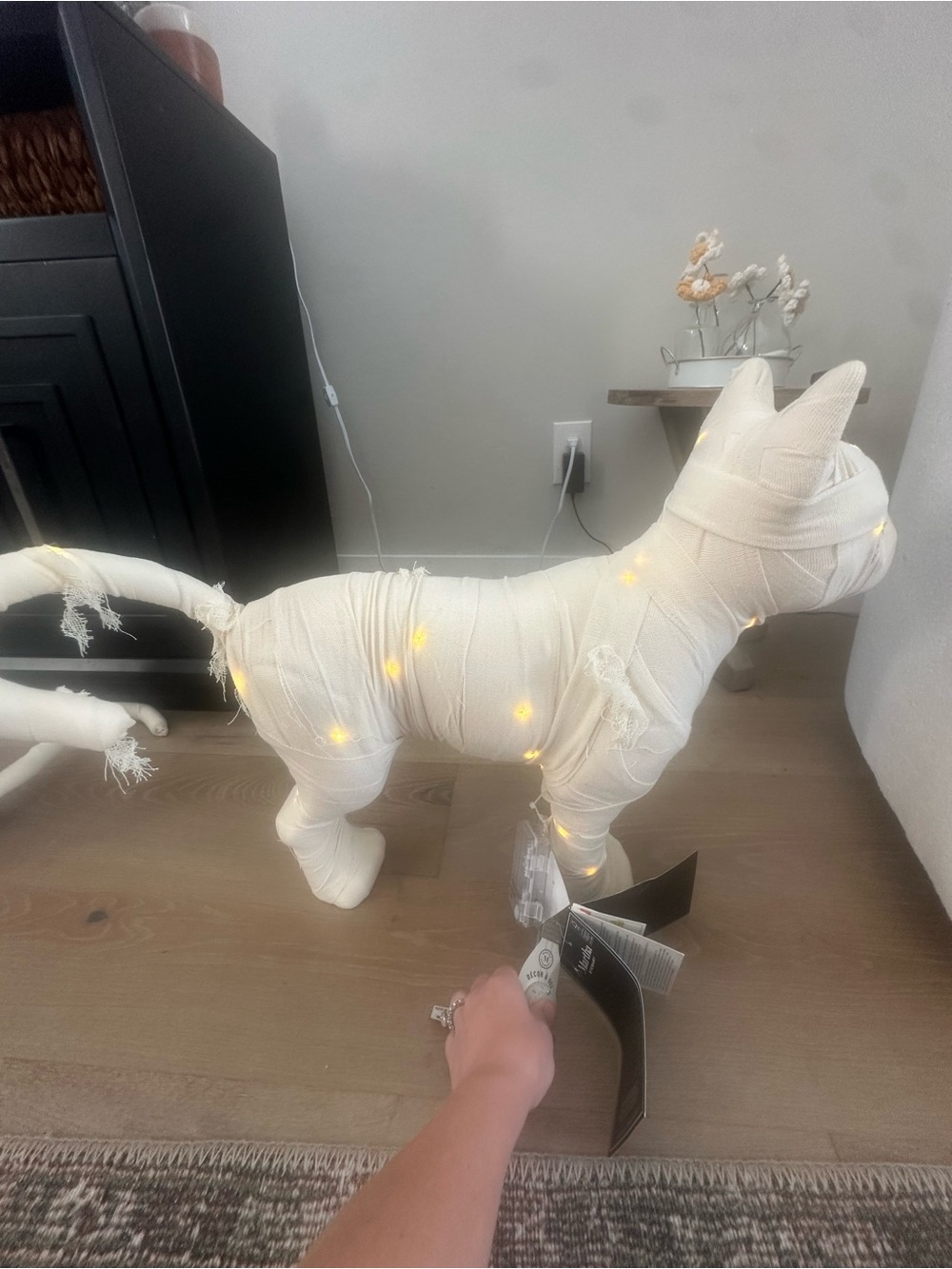 Viral HTF Martha Stewart XL LED Mummy Cat & Halloween Dog Set - Picture 8 of 13